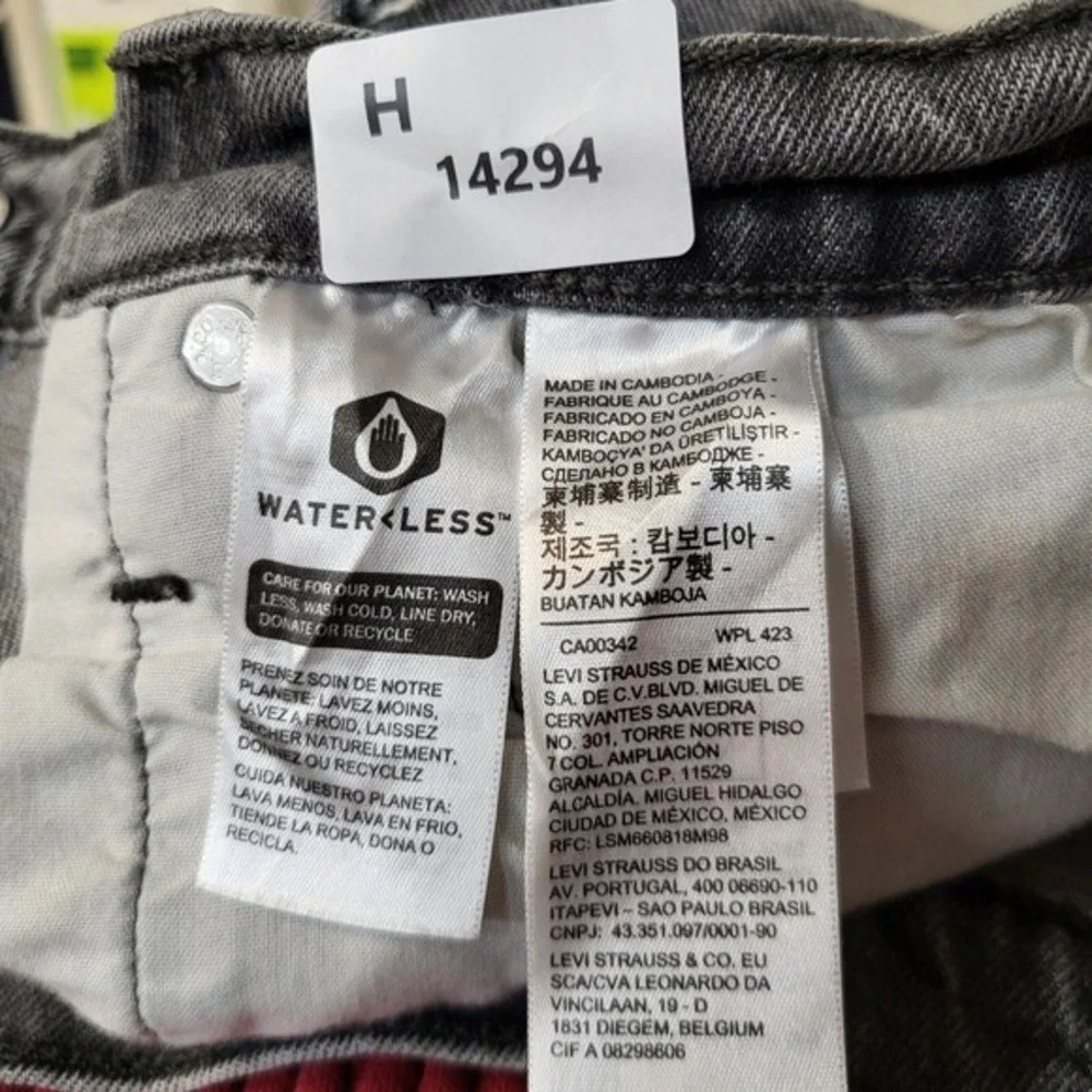 Levis environment review